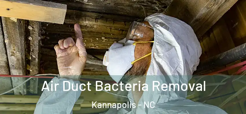  Air Duct Bacteria Removal Kannapolis - NC