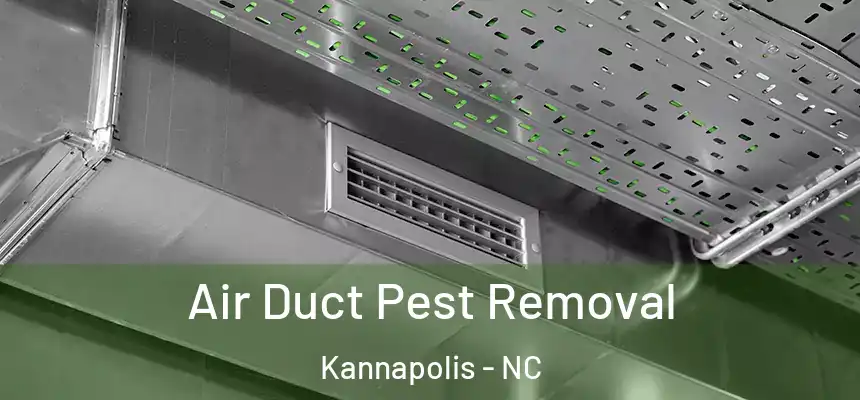  Air Duct Pest Removal Kannapolis - NC