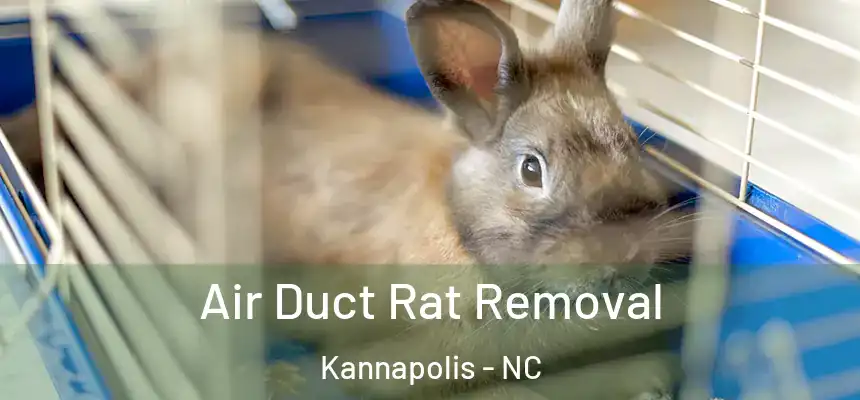  Air Duct Rat Removal Kannapolis - NC