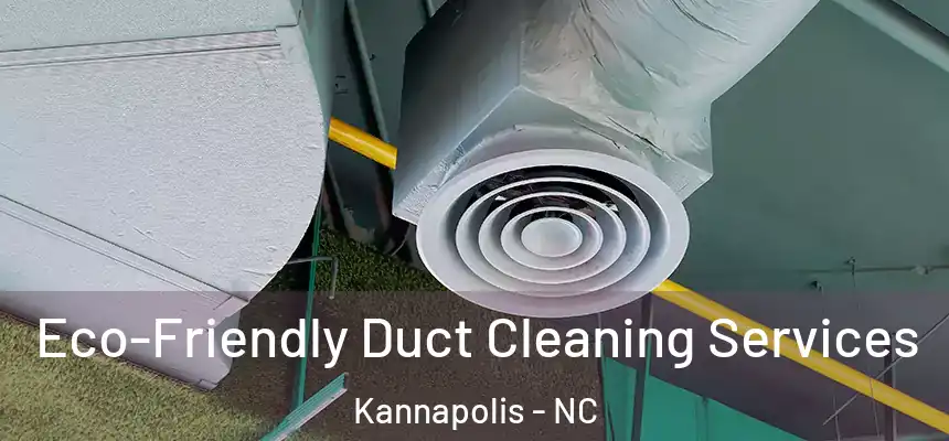  Eco-Friendly Duct Cleaning Services Kannapolis - NC