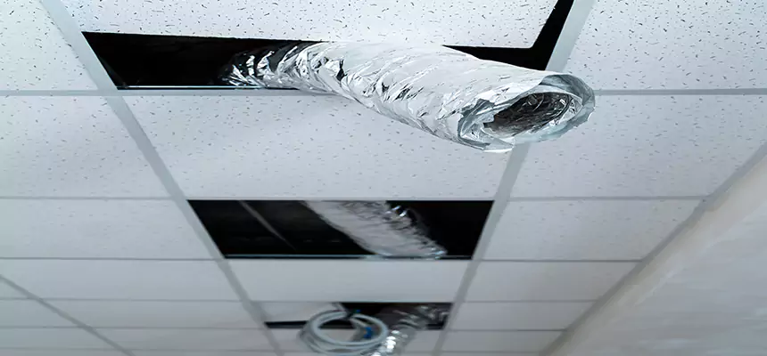 Affordable HVAC Sanitizing After Pest Removal in Kannapolis