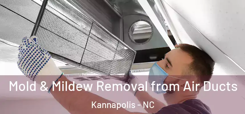  Mold & Mildew Removal from Air Ducts Kannapolis - NC