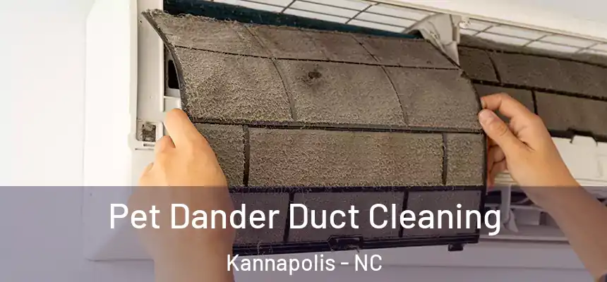  Pet Dander Duct Cleaning Kannapolis - NC