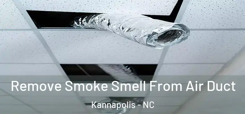  Remove Smoke Smell From Air Duct Kannapolis - NC