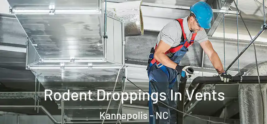  Rodent Droppings In Vents Kannapolis - NC